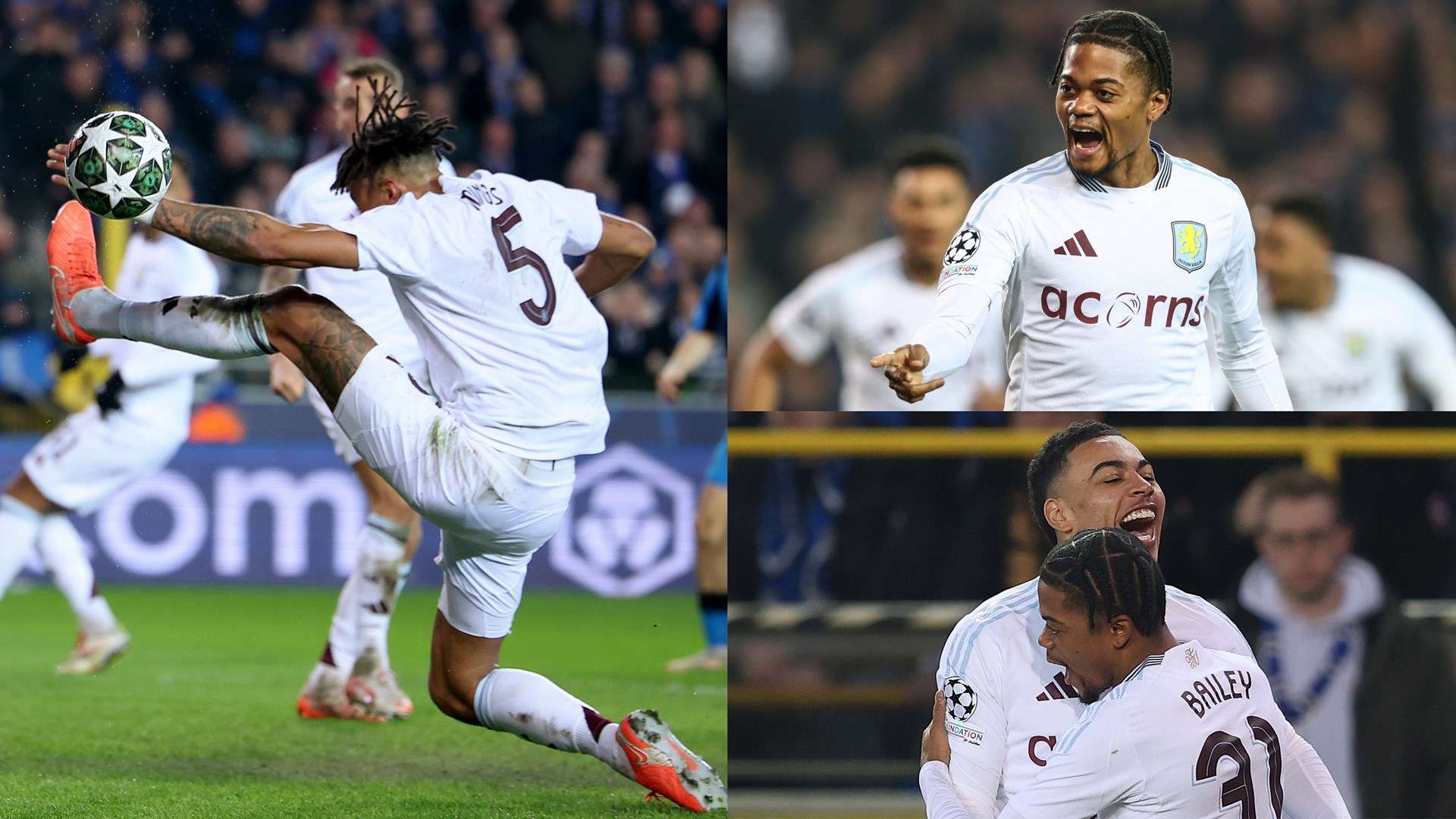 它是一个君 它是一个君